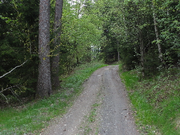 An-Humboldt-Wanderweg- (214)