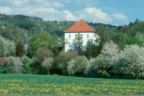 goldkr-Schloss-8
